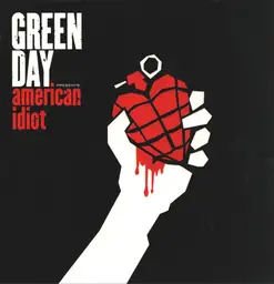 Green day american idiot 28