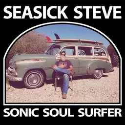 Seasick steve sonic soul surfer 3