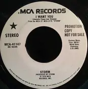 The Storm - I Want You