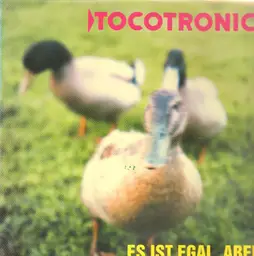 Tocotronic es ist egal. aber(original 1st german. dmm) 1