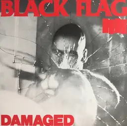 Black flag damaged 8
