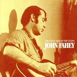 John fahey on the sunny side of the